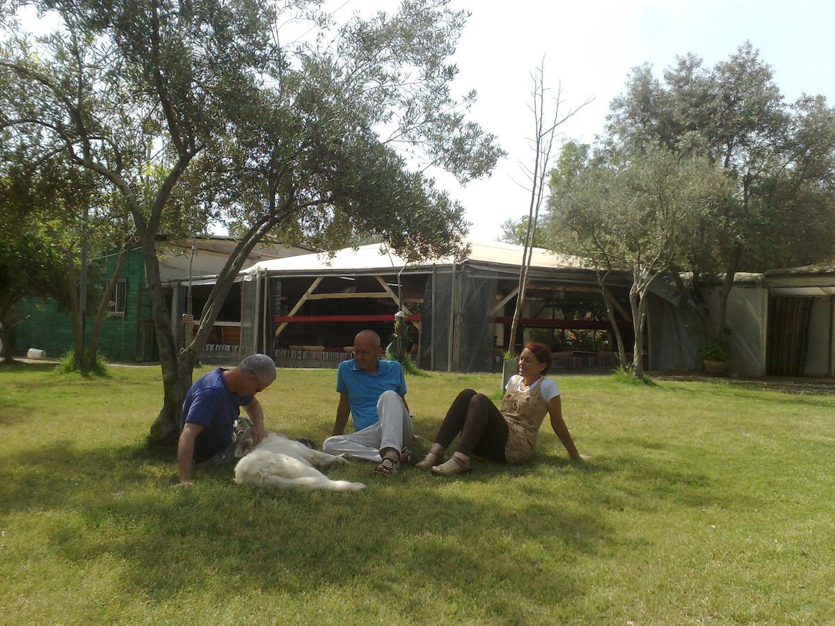 Peace Tent Villa Kfar Rut Bilik gambar