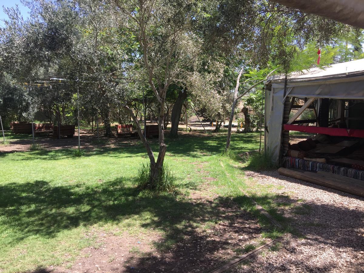 Peace Tent Villa Kfar Rut Luaran gambar